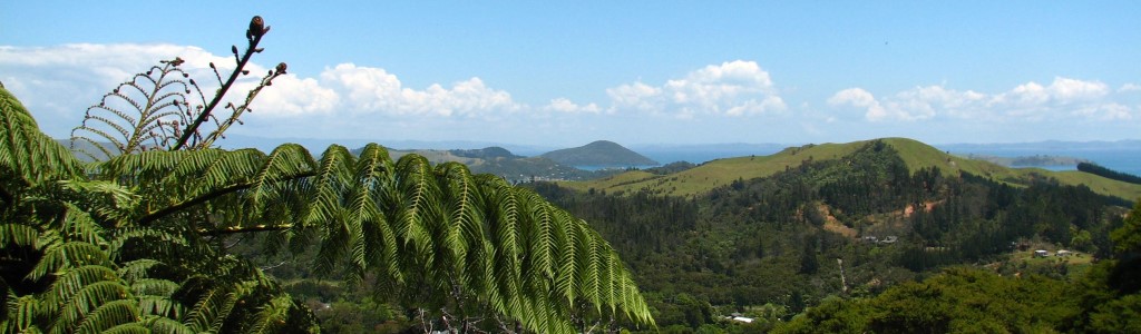 Coromandel2