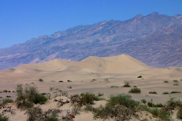 Death Valley Sand Dunes