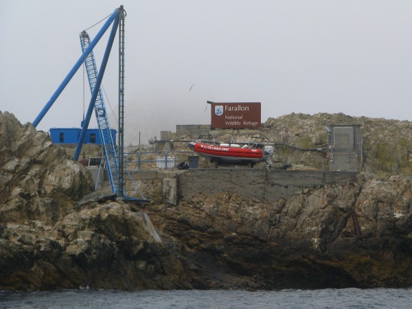 Farallon Wildlife Refuge