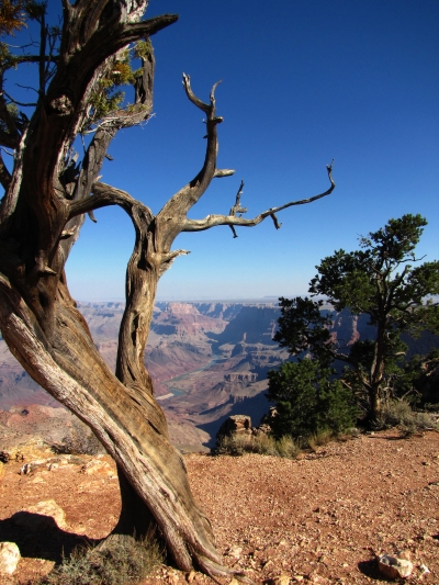 Grand Canyon Desert View