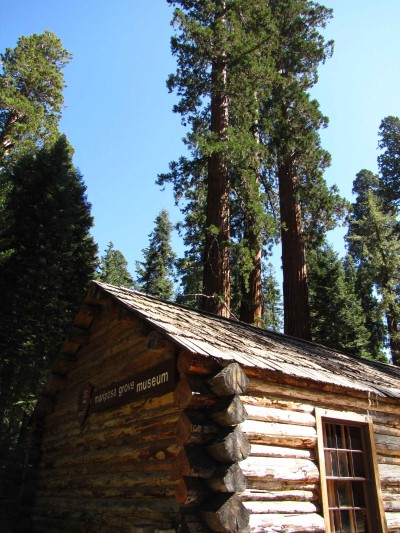 Mariposa Grove Museum