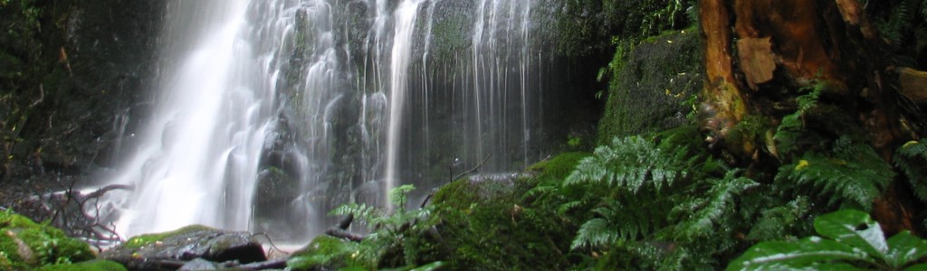 MataiFalls_05376