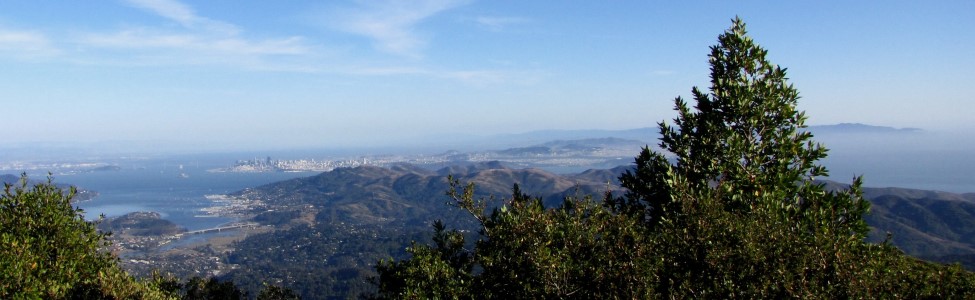 Mount Tamalpais