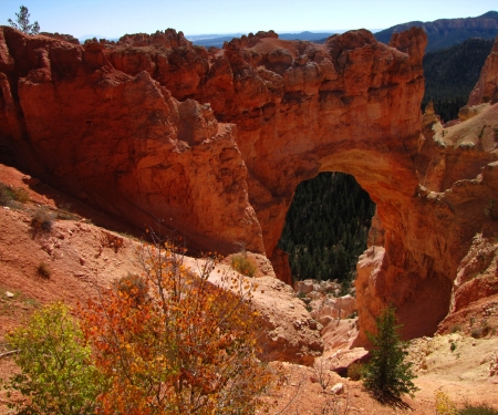 Natural Bridge