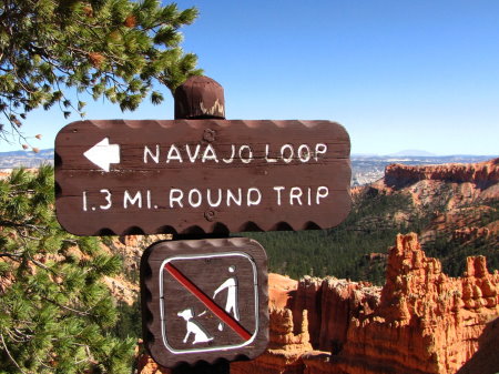 Navajo Loop Trail