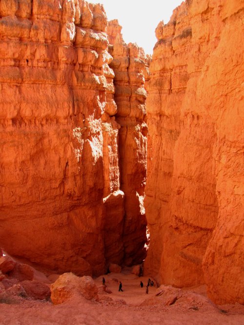 Navajo Loop Trail