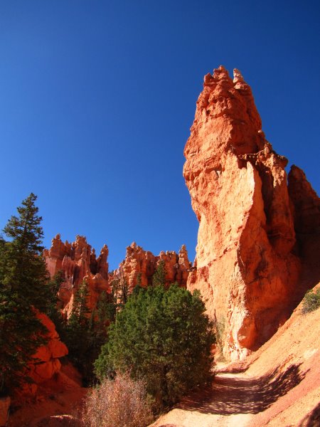 Navajo Loop Trail