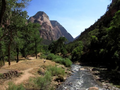 North Fork Virgin River