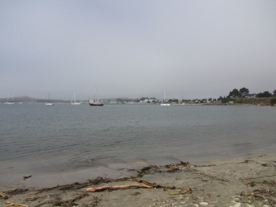 Pillar Point Beach