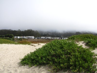 Pillar Point Campground