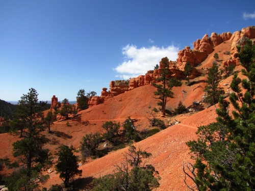 Red Canyon Birdseye Trail