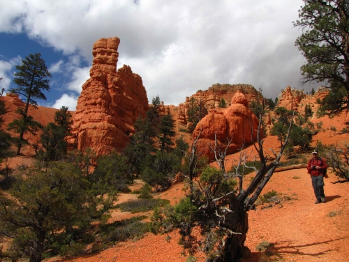 Red Canyon