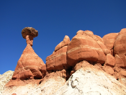 Toadstool Hoodoo