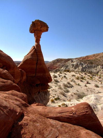 Toadstool Hoodoo