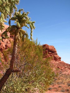 Valley of Fire