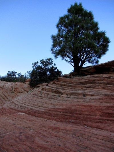 Zion National Park