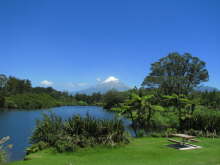 Taranaki