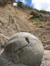 03. Moeraki Boulder