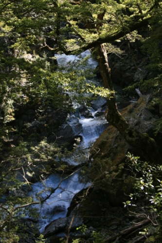 09. Routeburn River