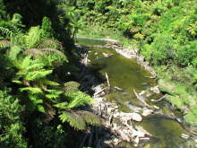 Tangarakau Gorge