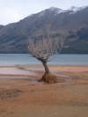 14. Winterliche Idylle in Glenorchy