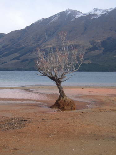 14. Winterliche Idylle in Glenorchy