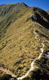 18. Kepler Track: Descending From the Ridge