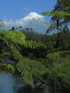 23. Taranaki am Lake Mangamahoe