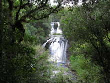 Aniwaniwa Falls