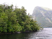 Doubtful Sound