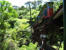 Driving Creek Railway