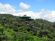 Driving Creek Railway