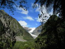 Fox Glacier