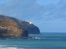 Muriwai Beach