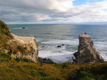 Muriwai Beach