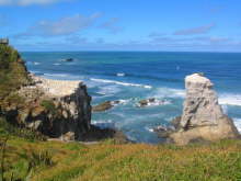 Muriwai Beach