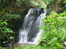 Horseshoe Falls