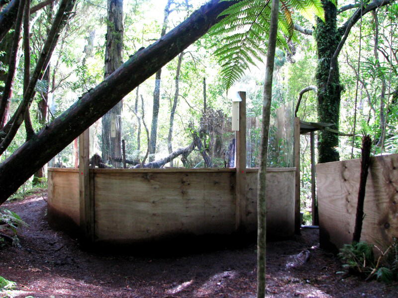 Kakapo Display