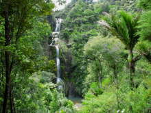 Kitekite Falls