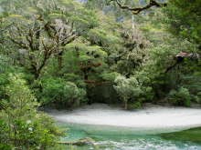 Lake Gunn