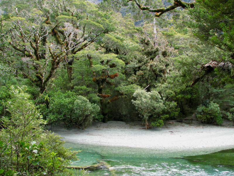 Lake Gunn