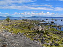 Lake Taupo