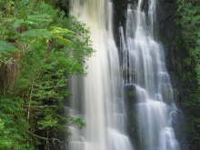 McLean Falls