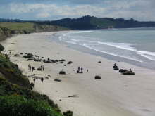 Moeraki Boulders