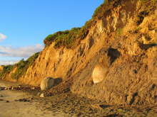 Moeraki Boulders