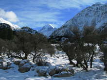 Mt Cook Village