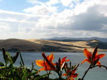 Hokianga Harbour