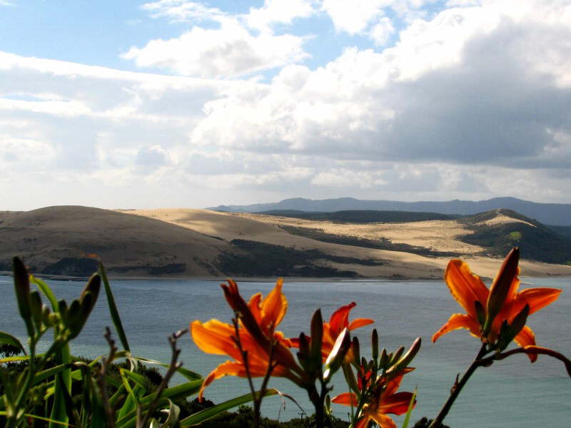 Hokianga Harbour