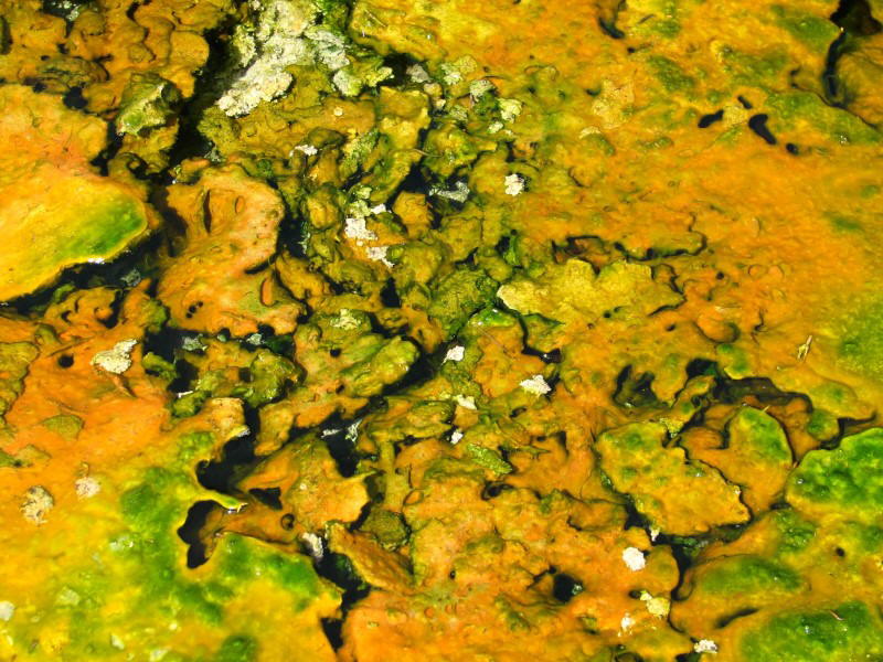 Orakei Korako