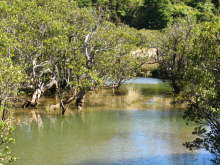 Paihia